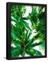 Essential Black