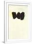 Gramercy White