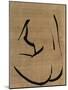 Wood Mount