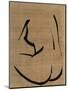 Wood Mount