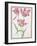 Pd.109-1973.F14 Three 'Broken' Tulips-Nicolas Robert-Framed Giclee Print