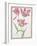 Pd.109-1973.F14 Three 'Broken' Tulips-Nicolas Robert-Framed Giclee Print