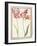 Pd.109-1973.F4 Two 'Broken' Tulips-Nicolas Robert-Framed Giclee Print