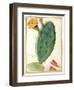 Pd.115-1973. F38 Detail of Cactus with Orange Flower, C.1764-Georg Dionysius Ehret-Framed Giclee Print