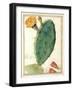 Pd.115-1973. F38 Detail of Cactus with Orange Flower, C.1764-Georg Dionysius Ehret-Framed Giclee Print