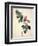 Pd.21-1960 Camellia Japonica, 1793-Pierre-Joseph Redouté-Framed Premium Giclee Print