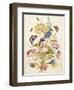 Pd.912-1973 Still Life of Flowers Including a Parrot Tulip, Larkspur, Sweet William, Gentian and…-Thomas Robins-Framed Giclee Print