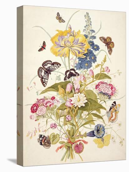Pd.912-1973 Still Life of Flowers Including a Parrot Tulip, Larkspur, Sweet William, Gentian and…-Thomas Robins-Stretched Canvas