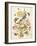 Pd.912-1973 Still Life of Flowers Including a Parrot Tulip, Larkspur, Sweet William, Gentian and…-Thomas Robins-Framed Giclee Print