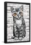 PD Moreno - Cat Glasses-Trends International-Framed Poster