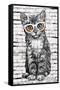 PD Moreno - Cat Glasses-Trends International-Framed Stretched Canvas