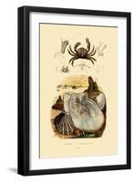 Pea Crab, 1833-39-null-Framed Giclee Print