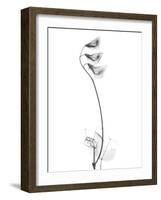 Pea H48-Albert Koetsier-Framed Art Print