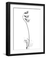 Pea H48-Albert Koetsier-Framed Art Print