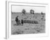 Pea Pickers-null-Framed Photographic Print