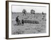 Pea Pickers-null-Framed Photographic Print