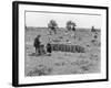 Pea Pickers-null-Framed Photographic Print