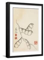 Pea Pods, from an Album of Vegetables-Shou-min Pien-Framed Giclee Print