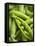 Pea Pods, One Open-Greg Elms-Framed Stretched Canvas