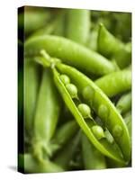 Pea Pods, One Open-Greg Elms-Stretched Canvas