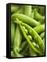 Pea Pods, One Open-Greg Elms-Framed Stretched Canvas