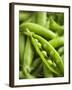 Pea Pods, One Open-Greg Elms-Framed Photographic Print