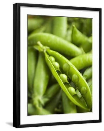 'Pea Pods, One Open' Photographic Print - Greg Elms | AllPosters.com