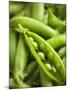 Pea Pods, One Open-Greg Elms-Mounted Photographic Print