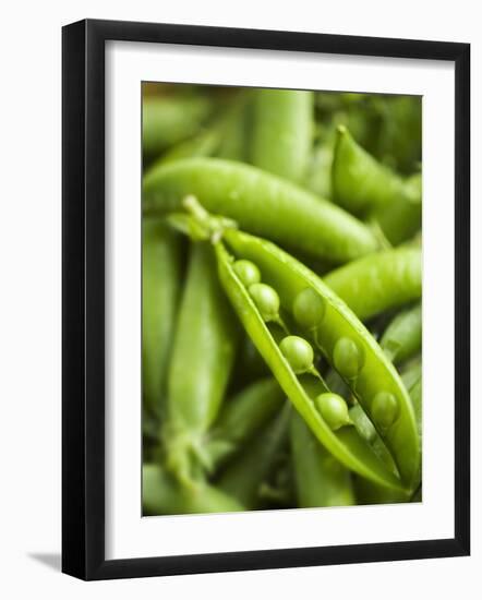 Pea Pods, One Open-Greg Elms-Framed Photographic Print