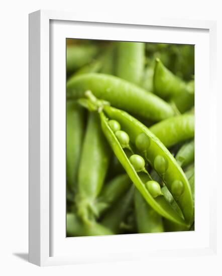 Pea Pods, One Open-Greg Elms-Framed Photographic Print