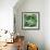 Pea Pods-Stacy Bass-Framed Giclee Print displayed on a wall