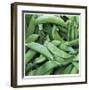Pea Pods-Stacy Bass-Framed Giclee Print