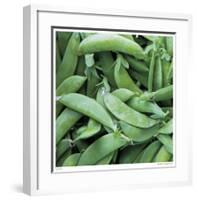 Pea Pods-Stacy Bass-Framed Giclee Print