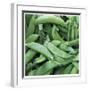 Pea Pods-Stacy Bass-Framed Giclee Print