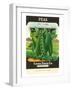 Pea Seed Packet-null-Framed Art Print