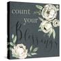 Peace and Comfort- Count Blessings-Livi & Finn-Stretched Canvas