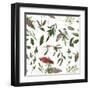 Peace and Joy Pattern VIII-Sara Zieve Miller-Framed Art Print