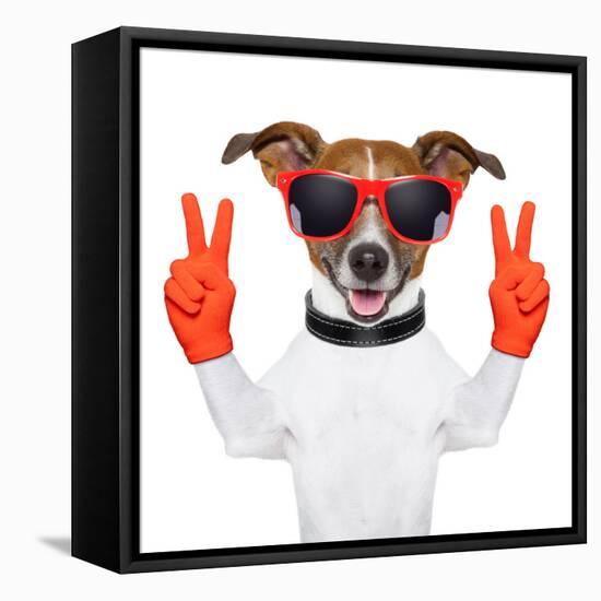 Peace And Victory Fingers Dog-Javier Brosch-Framed Stretched Canvas