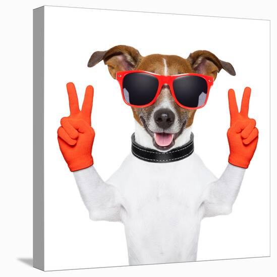 Peace And Victory Fingers Dog-Javier Brosch-Stretched Canvas