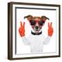 Peace And Victory Fingers Dog-Javier Brosch-Framed Photographic Print