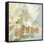 Peace Blossom-Julie Greenwood-Framed Stretched Canvas