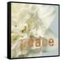 Peace Blossom-Julie Greenwood-Framed Stretched Canvas