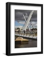 Peace Bridge, across the River Foyle, Derry (Londonderry), County Londonderry, Ulster, Northern Ire-Nigel Hicks-Framed Photographic Print
