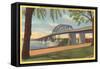 Peace Bridge, Buffalo, New York-null-Framed Stretched Canvas