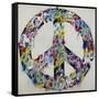 Peace By Peace-Sydney Edmunds-Framed Stretched Canvas