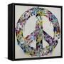 Peace By Peace-Sydney Edmunds-Framed Stretched Canvas