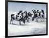 Peace Cows-Mary Miller Veazie-Framed Giclee Print