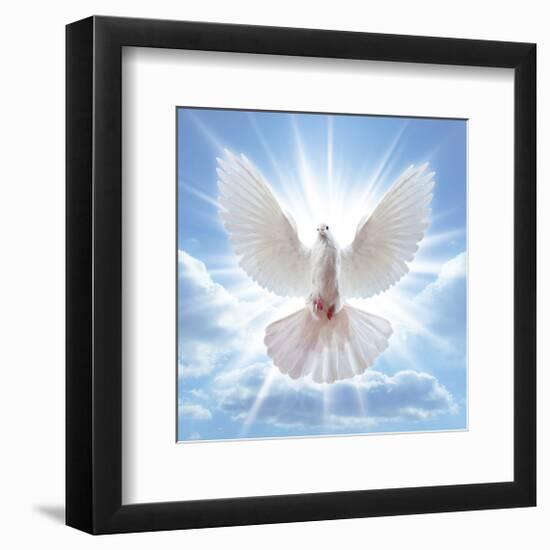 Peace Dove in-Front Of The Sun-null-Framed Art Print