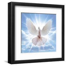 Peace Dove in-Front Of The Sun-null-Framed Art Print