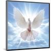 Peace Dove in-Front Of The Sun-null-Mounted Art Print